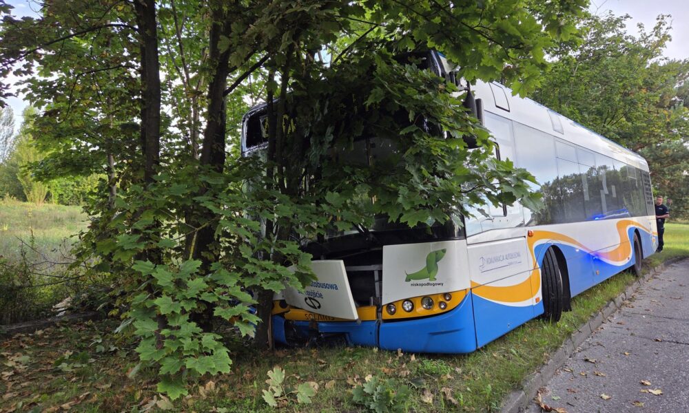 Komunikacja Autobusowa