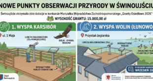 Widok na Deltę Świny w Świnoujściu, w tle luneta krajobrazowa do obserwacji ptaków i tablica edukacyjna