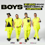 Zespół Boys