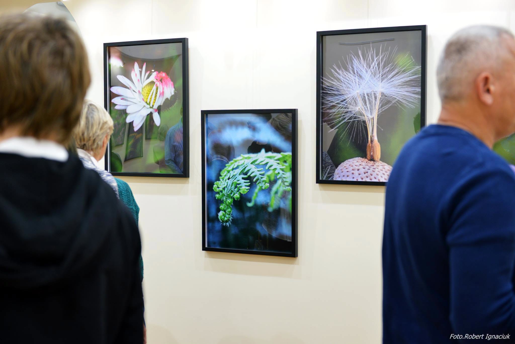 40 zdjęć przyrodniczych na wystawie fotografii Szepty natury w Świnoujściu